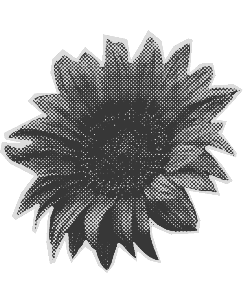 fleur représentant la réussite des candidats futurs orthophonistes